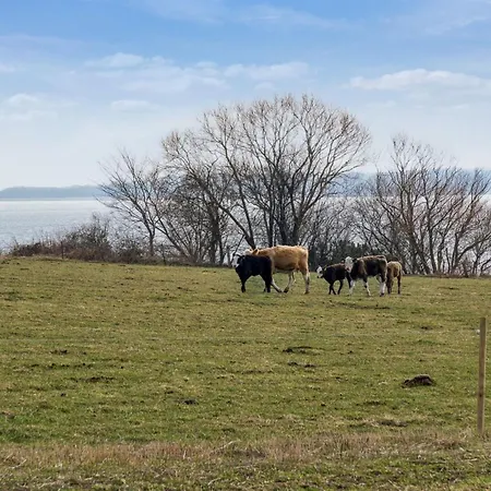 Tatil Evi Salka - 200m To The Fjord By Interhome